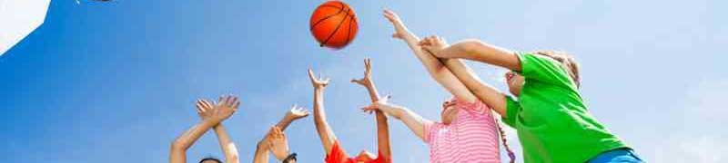 Curso : Curso de Enfoques Metodológicos y Enseñanza del Baloncesto en la Escuela